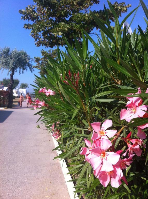 Happy Camping Village Bellaria-Igea Marina Dış mekan fotoğraf